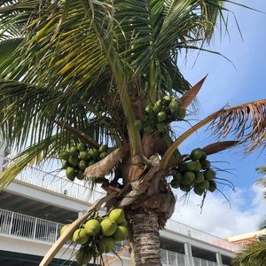 Meet your Posher, Joe